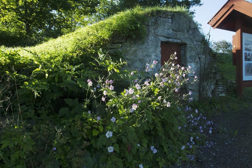 Loefwings B&B Broddetorp Buitenkant foto