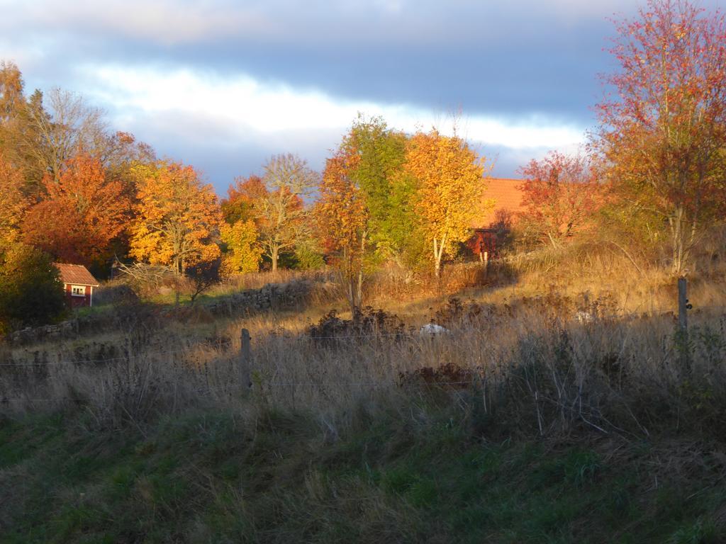 Loefwings B&B Broddetorp Buitenkant foto